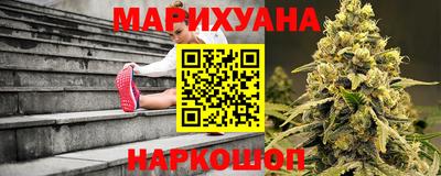 Альфа ПВП Кингисепп
