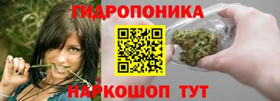 мяу мяу мука Кандалакша