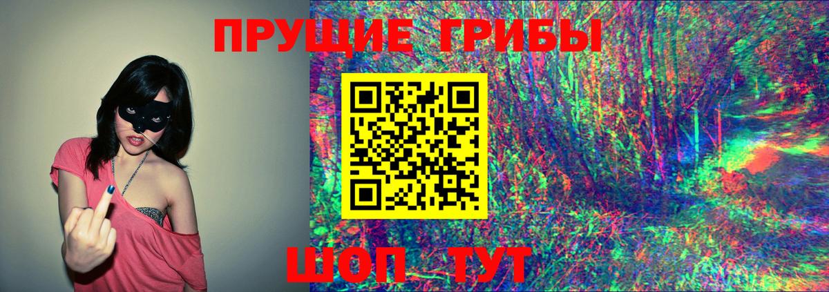 Псилоцибиновые грибы мицелий Советская Гавань