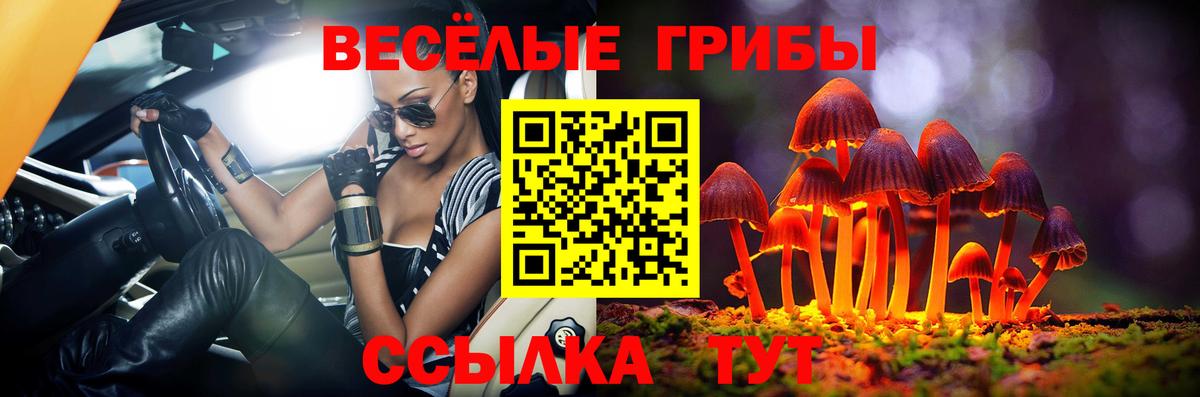 Советская Гавань  сколько стоит  Вход с VPN  Галлюциногенные грибы Magic Shrooms 